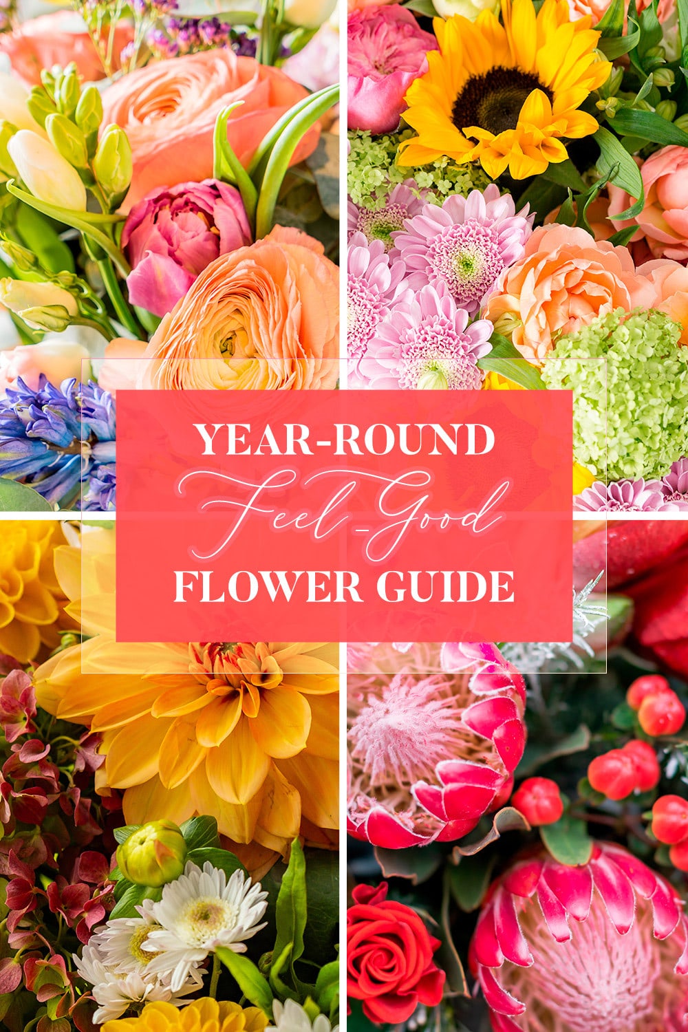 Year-round feel-good flower guide