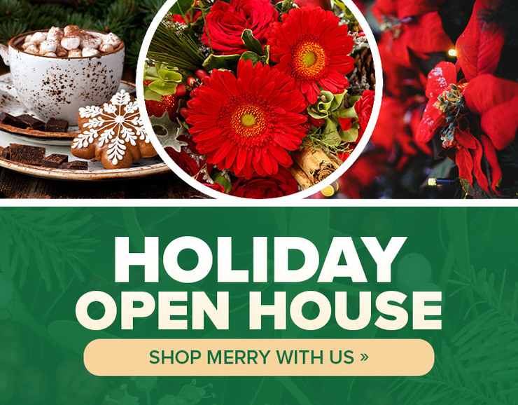 The FlowerLoft of Lima's Christmas Open House is on November 8th! Join us to get in on all the holiday fun. 