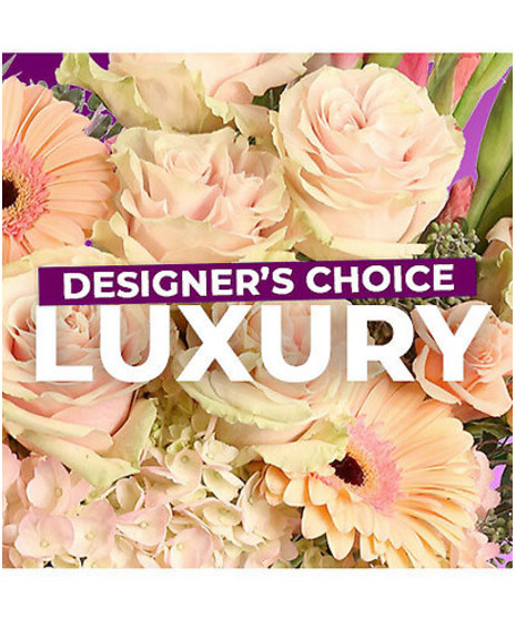 Designer's Choice - Luxury