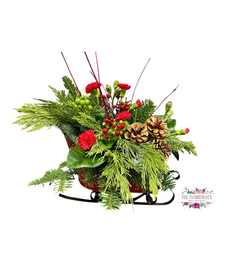 Dashing Through the Snow