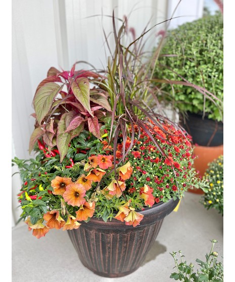 FALL COMBO POT