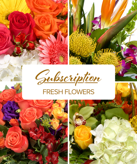 Seasonal Mixed Arrangement Subscription - Monthly