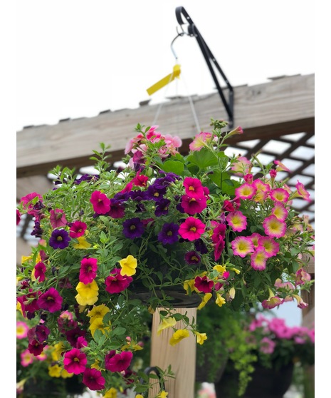 Outdoor Hanging Basket