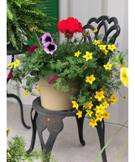 Patio Pot
