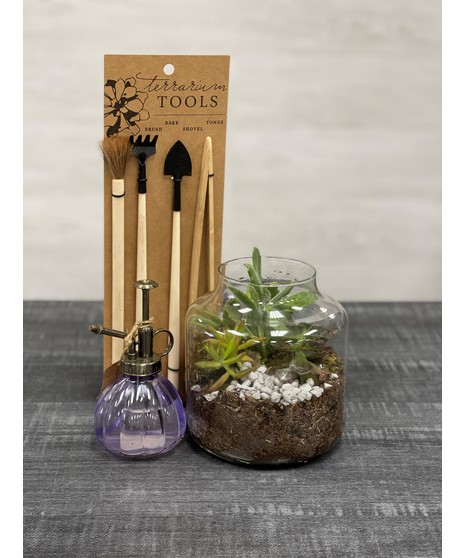Terrarium Set