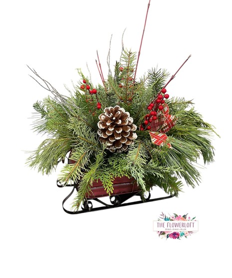 Dashing Through the Snow