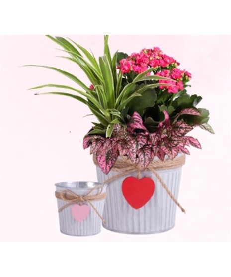 From the Heart Planter
