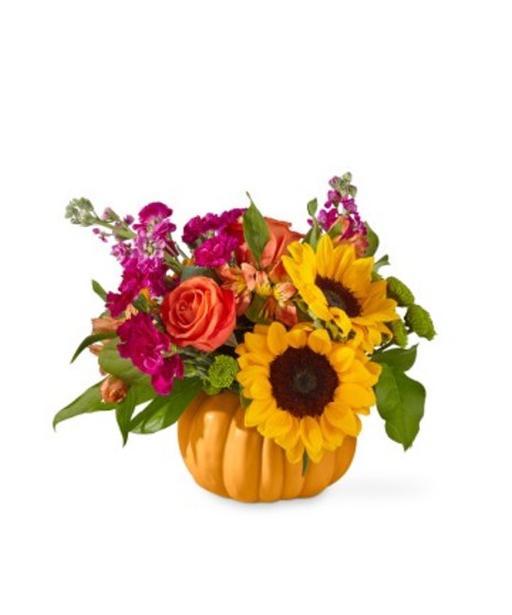 Bippity Boppity Pumpkin