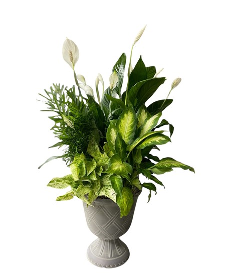 Pedestal Planter