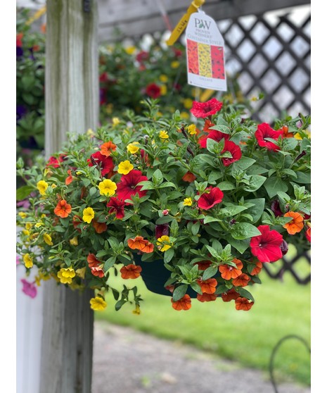 Outdoor Hanging Basket