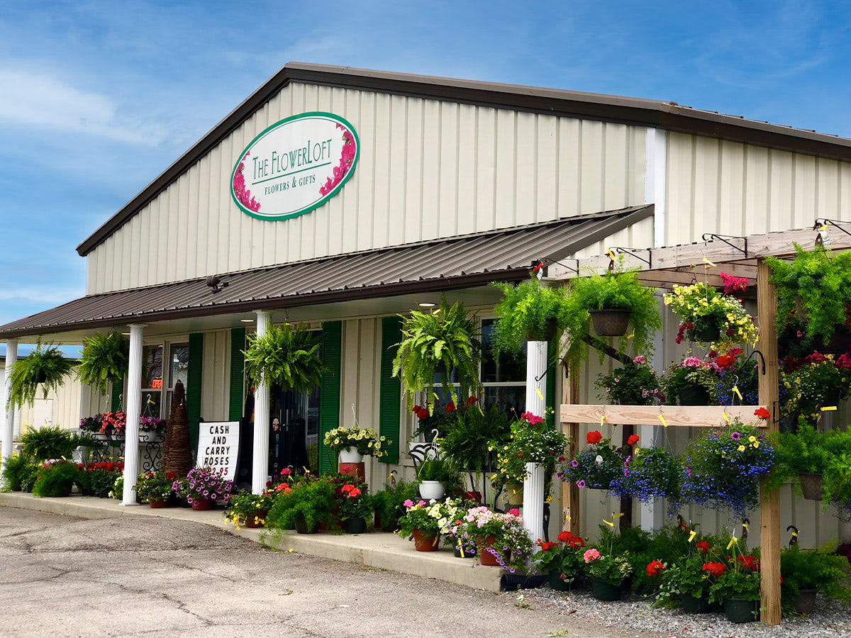 Grapevine Tree  The FlowerLoft of Lima (OH) Gift Delivery